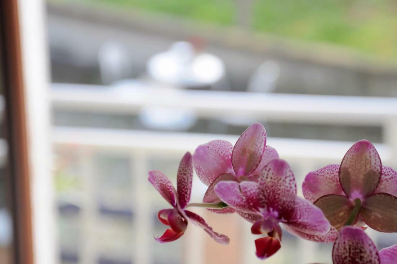 Casa Dei Nonni #Charminglanga Villa กรินซาเน คาวัวร์ ภายนอก รูปภาพ